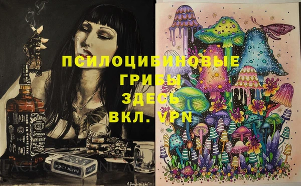 ПСИЛОЦИБИНОВЫЕ ГРИБЫ Баксан