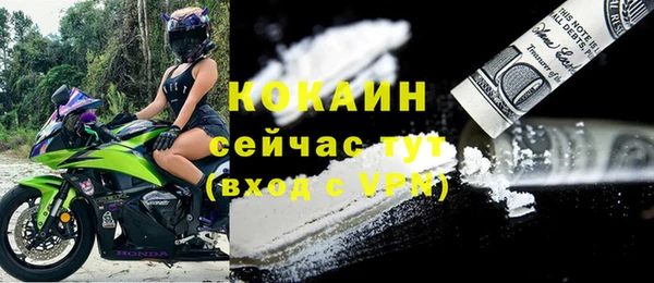 ПСИЛОЦИБИНОВЫЕ ГРИБЫ Баксан