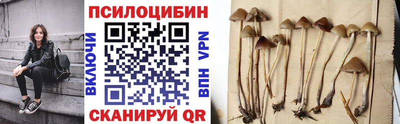 Псилоцибиновые грибы Psilocybine cubensis  Шагонар 